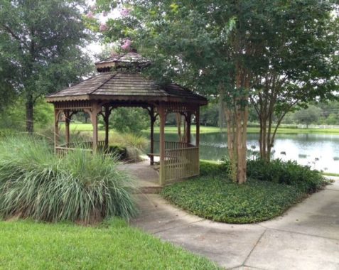 perfect location beside a lake